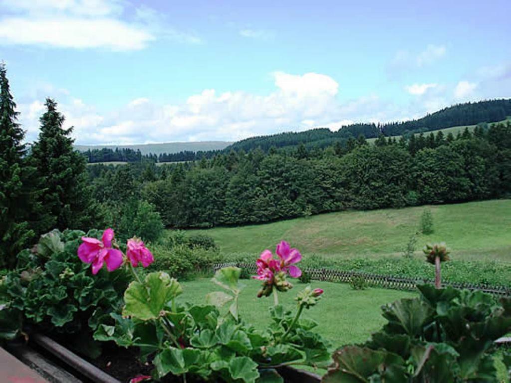 Haus Panorama Apartamento Sankt Andreasberg